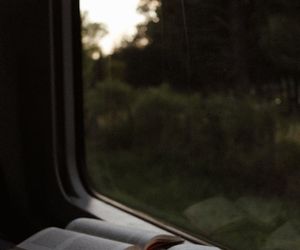 Peaceful natural scenery viewed from a window.